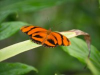The colours on many of the specimens were very striking.